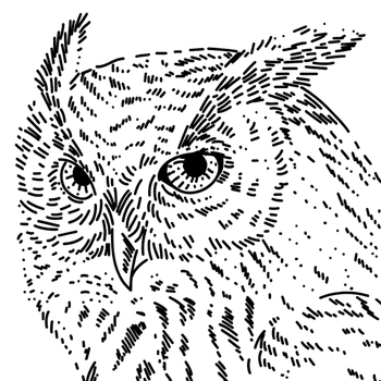 Mądra Sowa - kawa do biura