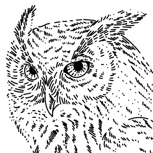 Ilustracja Mądra Sowa