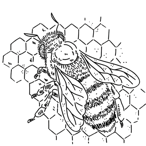 Ilustracja Pomocna Pszczoła