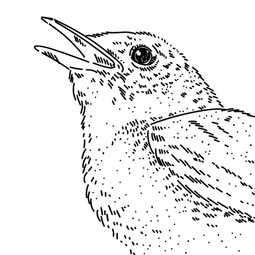 Ilustracja Poranny Słowik