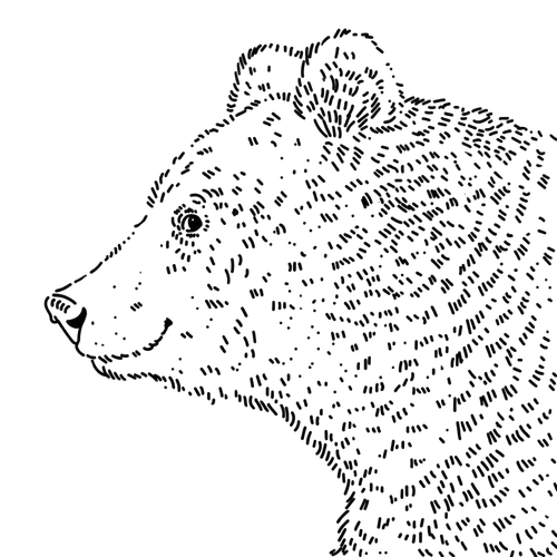 Ilustracja Szarmancki Niedźwiedź