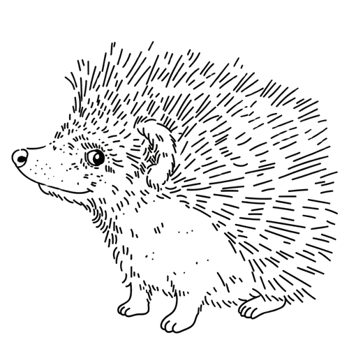 Ilustracja Wdzięczny Jeż